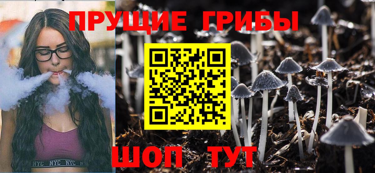 Нурлат  Галлюциногенные грибы Psilocybine cubensis  цены наркотик  Вход с VPN  Галлюциногенные грибы Magic Shrooms 